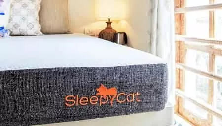 Sleepycat mattress