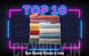 Top 10 Best Blanket Brands In India