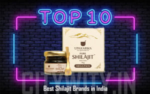 Top 10 Best Shilajit Brands In India