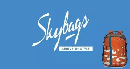 Skybags backpack