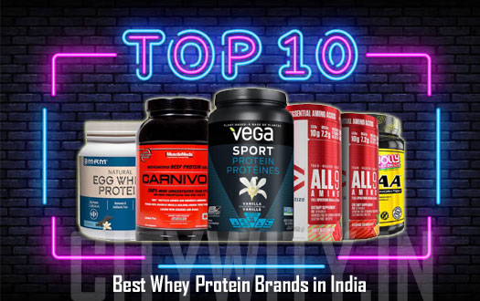 Best Whey Protein