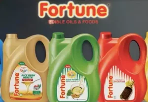 Top 10 Best Refined Oil Brands in India