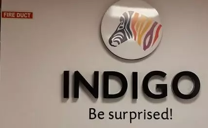 Indigo Paints