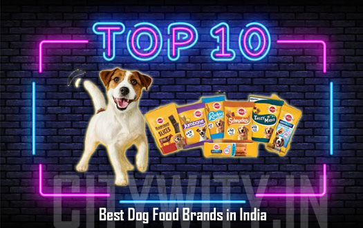 Dog Food Brands