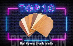 Top 10 Best Plywood Brands in India