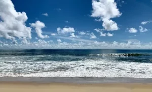 Top 8 Must-Visit Beaches in Chennai
